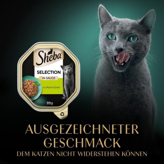 Sheba Selection in Sauce - Cat Food with Chicken Bites in Sauce for Adult Cats - 22 x 85 g Cat Food Sheba Selection in Sauce - Cat Food with Chicken Bites in Sauce for Adult Cats - 22 x 85 g Cat Food