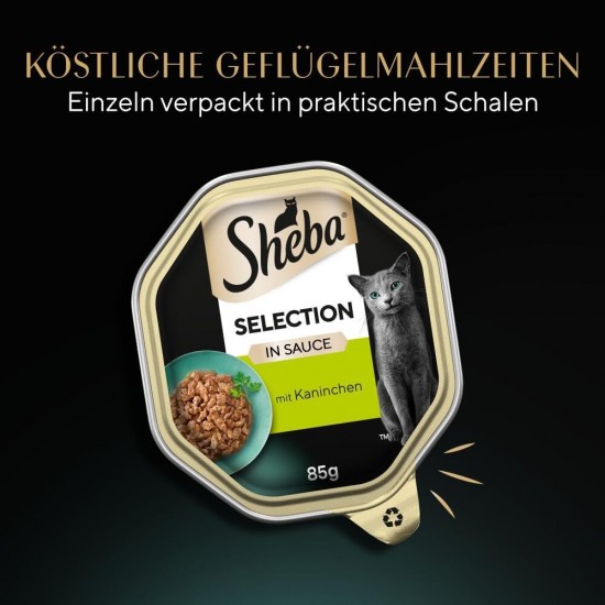 Sheba Selection in Sauce - Cat Food with Chicken Bites in Sauce for Adult Cats - 22 x 85 g Cat Food Sheba Selection in Sauce - Cat Food with Chicken Bites in Sauce for Adult Cats - 22 x 85 g Cat Food