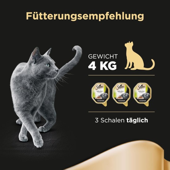 Sheba Selection in Sauce - Cat Food with Chicken Bites in Sauce for Adult Cats - 22 x 85 g Cat Food Sheba Selection in Sauce - Cat Food with Chicken Bites in Sauce for Adult Cats - 22 x 85 g Cat Food