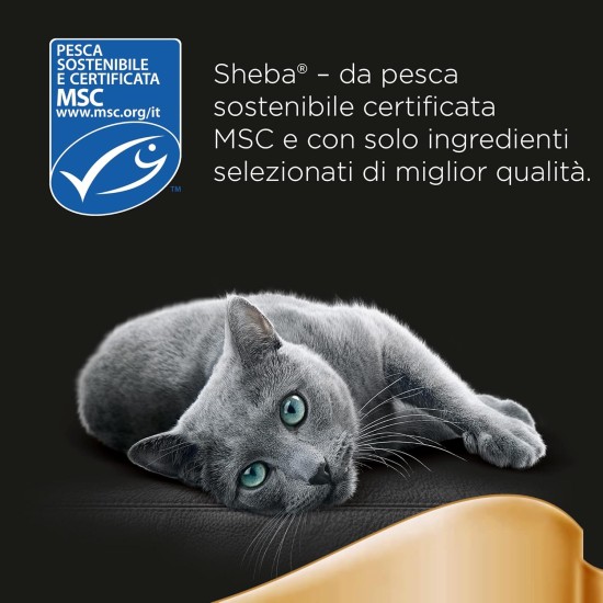 Sheba Selection in Sauce, Chicken, Turkey, Duck and Poultry, Wet Food for Adult Cats 60 Bags of 85g Sheba Selection in Sauce, Chicken, Turkey, Duck and Poultry, Wet Food for Adult Cats 60 Bags of 85g