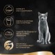 Sheba delicacy in jelly, wet cat food with a fine selection of poultry, 72 x 85 g Sheba delicacy in jelly, wet cat food with a fine selection of poultry, 72 x 85 g