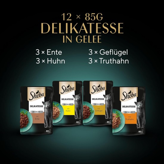 Sheba delicacy in jelly, wet cat food with a fine selection of poultry, 72 x 85 g Sheba delicacy in jelly, wet cat food with a fine selection of poultry, 72 x 85 g