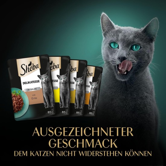 Sheba delicacy in jelly, wet cat food with a fine selection of poultry, 72 x 85 g Sheba delicacy in jelly, wet cat food with a fine selection of poultry, 72 x 85 g