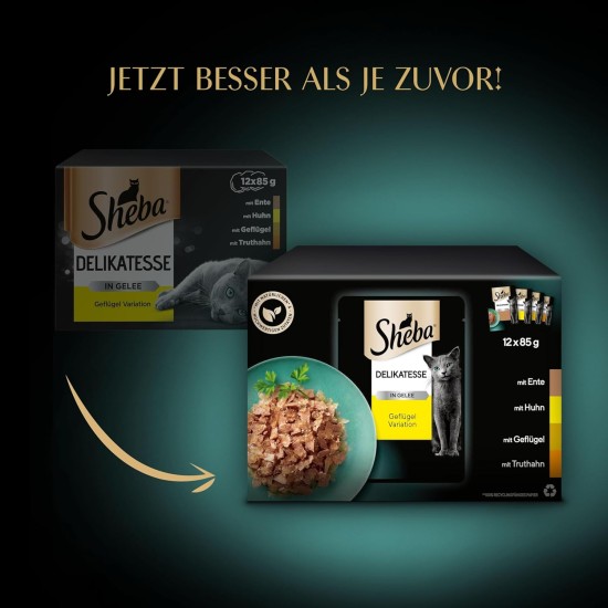 Sheba delicacy in jelly, wet cat food with a fine selection of poultry, 72 x 85 g Sheba delicacy in jelly, wet cat food with a fine selection of poultry, 72 x 85 g