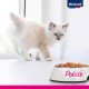 Vitakraft Cat Food Wet Food Poésie Deli Sauce Pouch Bags Junior