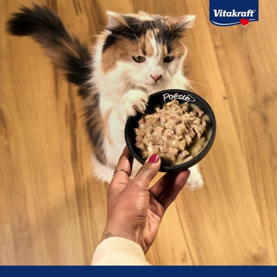 Vitakraft Poésie Classic Storage Pack, Wet Cat Food in Sauce, with Chicken, Turkey, Beef, Salmon, No Added Sugar and Grains (1 Pack of 96 x 85 g) Vitakraft Poésie Classic Storage Pack, Wet Cat Food in Sauce, with Chicken, Turkey, Beef, Salmon, No Added Sugar and Grains (1 Pack of 96 x 85 g)