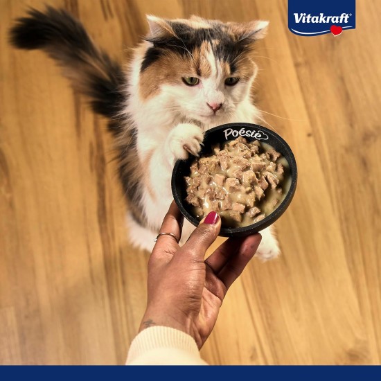 Vitakraft Poésie Classic Wet Cat Food, Jelly Cat Food, with Chicken, with Turkey, with Poultry, with Duck, No Added Sugar and Grains (5 Packets of 12 x 85 g) Vitakraft Poésie Classic Wet Cat Food, Jelly Cat Food, with Chicken, with Turkey, with Poultry, with Duck, No Added Sugar and Grains (5 Packets of 12 x 85 g)