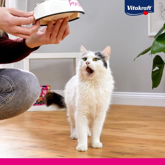Vitakraft Poésie Création, Finest Selection, Wet Cat Food, Jelly Cat Food, with Salmon and Spinach, with Wild in Cranberry Jelly, No Added Sugar and Grains (1 Pack of 6 x 85 g) Vitakraft Poésie Création, Finest Selection, Wet Cat Food, Jelly Cat Food, with Salmon and Spinach, with Wild in Cranberry Jelly, No Added Sugar and Grains (1 Pack of 6 x 85 g)