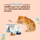 almo nature Multipack Holistic Urinary Help - 3 x With Fish - 3 x With Chicken. Complete Food for Adult Cats, Wet Food, Pack of 6 (6 x 70 g) almo nature Multipack Holistic Urinary Help - 3 x With Fish - 3 x With Chicken. Complete Food for Adult Cats, Wet Food, Pack of 6 (6 x 70 g)