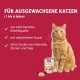 animonda Carny Single Protein Adult Cat Food, Wet, for Cats. animonda Carny Single Protein Adult Cat Food, Wet, for Cats.