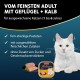 animonda Vom Feinsten Adult Fish & Meat Variety (32 x 100 g), Wet Food for Adult Cats, Cat Food without Grains and Sugar, Fine Piece Pies animonda Vom Feinsten Adult Fish & Meat Variety (32 x 100 g), Wet Food for Adult Cats, Cat Food without Grains and Sugar, Fine Piece Pies