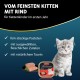 animonda Vom Feinsten Kitten Variety for Cats (32 x 100 g), Kitten Wet Food for Young Cats, Cat Food without Grains and Sugar, with 100% Fresh, Meaty Ingredients animonda Vom Feinsten Kitten Variety for Cats (32 x 100 g), Kitten Wet Food for Young Cats, Cat Food without Grains and Sugar, with 100% Fresh, Meaty Ingredients