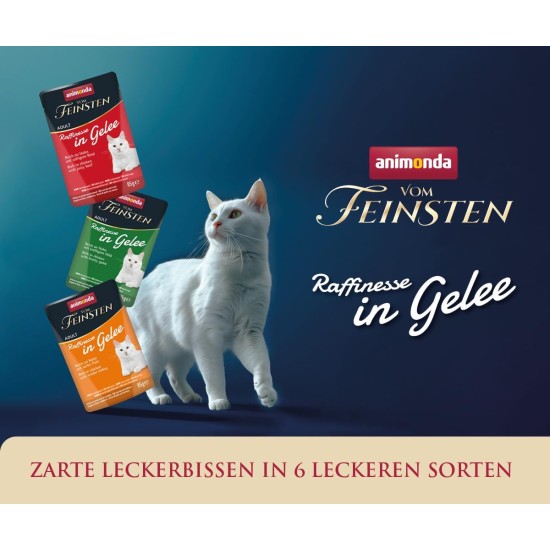 animonda vom Feinsten Premium Cat Food Wet in Jelly Sophistication Rich in Chicken with Turkey, 24 Portion Bags (24 x 85 g), Grain-Free Cat Wet Food without Sugar animonda vom Feinsten Premium Cat Food Wet in Jelly Sophistication Rich in Chicken with Turkey, 24 Portion Bags (24 x 85 g), Grain-Free Cat Wet Food without Sugar