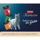 animonda vom Feinsten Premium Cat Food Wet in Jelly Sophistication Rich in Chicken with Turkey, 24 Portion Bags (24 x 85 g), Grain-Free Cat Wet Food without Sugar animonda vom Feinsten Premium Cat Food Wet in Jelly Sophistication Rich in Chicken with Turkey, 24 Portion Bags (24 x 85 g), Grain-Free Cat Wet Food without Sugar