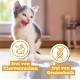 catz finefood Kitten Multipack I Wet Cat Food - Delicatessen Kitten Wet Food for Young Cats without Grain and Sugar with High Meat Content (12 x 85 g Bags) catz finefood Kitten Multipack I Wet Cat Food - Delicatessen Kitten Wet Food for Young Cats without Grain and Sugar with High Meat Content (12 x 85 g Bags)