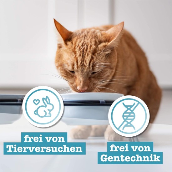 catz finefood N° 13 Herring & Shrimps Feinkost Wet Cat Food, Refined with Pumpkin & Aloe Vera, 6 x 400 g Tins catz finefood N° 13 Herring & Shrimps Feinkost Wet Cat Food, Refined with Pumpkin & Aloe Vera, 6 x 400 g Tins