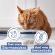catz finefood N° 17 Poultry & Shrimp Delicatessen Wet Cat Food Refined with Carrot & Cranberry, 16 x 85 g Bags catz finefood N° 17 Poultry & Shrimp Delicatessen Wet Cat Food Refined with Carrot & Cranberry, 16 x 85 g Bags