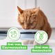 catz finefood N° 23 Beef & Duck Delicatessen Wet Cat Food, Refined with Cranberry & Aloe Vera, 16 x 85 g Bags catz finefood N° 23 Beef & Duck Delicatessen Wet Cat Food, Refined with Cranberry & Aloe Vera, 16 x 85 g Bags