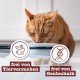 catz finefood N° 3 Poultry Delicatessen Wet Cat Food, Refined with Cranberries and Dandelions, 6 x 800 g Tins catz finefood N° 3 Poultry Delicatessen Wet Cat Food, Refined with Cranberries and Dandelions, 6 x 800 g Tins