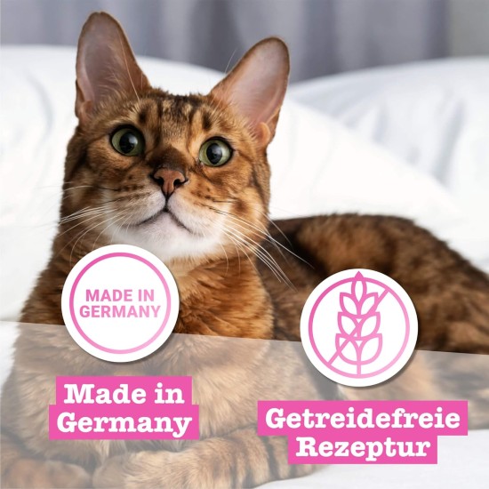 catz finefood N° 3 Poultry Delicatessen Wet Cat Food, Refined with Cranberries and Dandelions, 8 x 85 g Bags catz finefood N° 3 Poultry Delicatessen Wet Cat Food, Refined with Cranberries and Dandelions, 8 x 85 g Bags