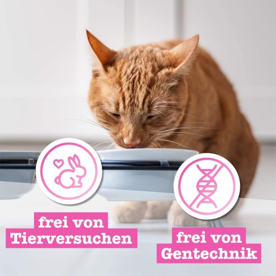 catz finefood N° 3 Poultry Delicatessen Wet Cat Food, Refined with Cranberries and Dandelions, 8 x 85 g Bags catz finefood N° 3 Poultry Delicatessen Wet Cat Food, Refined with Cranberries and Dandelions, 8 x 85 g Bags