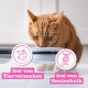 catz finefood N° 3 Poultry Delicatessen Wet Cat Food, Refined with Cranberries and Dandelions, 8 x 85 g Bags catz finefood N° 3 Poultry Delicatessen Wet Cat Food, Refined with Cranberries and Dandelions, 8 x 85 g Bags