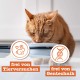 catz finefood N° 3 Poultry Delicatessen Wet Cat Food, Refined with Cranberries and Dandelions, 8 x 85 g Bags catz finefood N° 3 Poultry Delicatessen Wet Cat Food, Refined with Cranberries and Dandelions, 8 x 85 g Bags