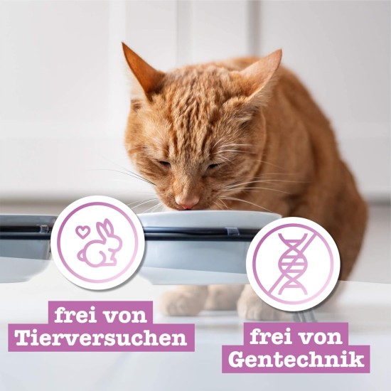 catz finefood N° 3 Poultry Delicatessen Wet Cat Food, Refined with Cranberries and Dandelions, 8 x 85 g Bags catz finefood N° 3 Poultry Delicatessen Wet Cat Food, Refined with Cranberries and Dandelions, 8 x 85 g Bags