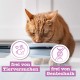 catz finefood N° 3 Poultry Delicatessen Wet Cat Food, Refined with Cranberries and Dandelions, 8 x 85 g Bags catz finefood N° 3 Poultry Delicatessen Wet Cat Food, Refined with Cranberries and Dandelions, 8 x 85 g Bags
