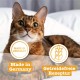 catz finefood N° 7 Beef & Veal Delicatessen Wet Cat Food, Refined with Apricot & Pineapple, 6 x 800 g Tins catz finefood N° 7 Beef & Veal Delicatessen Wet Cat Food, Refined with Apricot & Pineapple, 6 x 800 g Tins