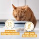 catz finefood N° 7 Beef & Veal Delicatessen Wet Cat Food, Refined with Apricot & Pineapple, 6 x 800 g Tins catz finefood N° 7 Beef & Veal Delicatessen Wet Cat Food, Refined with Apricot & Pineapple, 6 x 800 g Tins