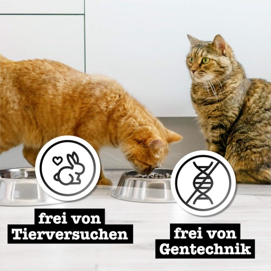catz finefood Purrrr Collection I - Monoprotein Wet Cat Food - Grain-Free, Sugar-Free, Hypoallergenic - High Meat Content - Multipack Wet Food for Cats - in Bag, 85 g (Pack of 12) catz finefood Purrrr Collection I - Monoprotein Wet Cat Food - Grain-Free, Sugar-Free, Hypoallergenic - High Meat Content - Multipack Wet Food for Cats - in Bag, 85 g (Pack of 12)