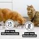catz finefood Purrrr Collection I - Monoprotein Wet Cat Food - Grain-Free, Sugar-Free, Hypoallergenic - High Meat Content - Multipack Wet Food for Cats - in Bag, 85 g (Pack of 12) catz finefood Purrrr Collection I - Monoprotein Wet Cat Food - Grain-Free, Sugar-Free, Hypoallergenic - High Meat Content - Multipack Wet Food for Cats - in Bag, 85 g (Pack of 12)