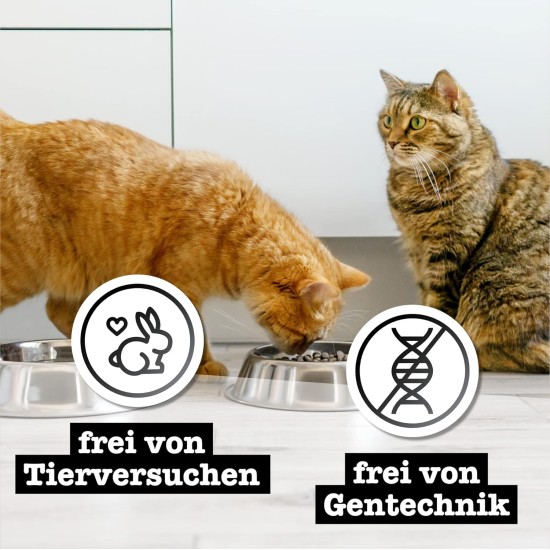 catz finefood Purrrr Collection I - Monoprotein Wet Cat Food - Grain-Free, Sugar-Free, Hypoallergenic - High Meat Content - Multipack Wet Food for Cats - in Bag, 85 g (Pack of 12) catz finefood Purrrr Collection I - Monoprotein Wet Cat Food - Grain-Free, Sugar-Free, Hypoallergenic - High Meat Content - Multipack Wet Food for Cats - in Bag, 85 g (Pack of 12)