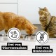 catz finefood Purrrr Collection I - Monoprotein Wet Cat Food - Grain-Free, Sugar-Free, Hypoallergenic - High Meat Content - Multipack Wet Food for Cats - in Bag, 85 g (Pack of 12) catz finefood Purrrr Collection I - Monoprotein Wet Cat Food - Grain-Free, Sugar-Free, Hypoallergenic - High Meat Content - Multipack Wet Food for Cats - in Bag, 85 g (Pack of 12)
