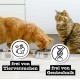 catz finefood Purrrr Monoprotein Wet Cat Food, Kangaroo, Chicken, Salmon, Lamb, Sheep and Pork, 6 Cans Variety Pure or Multipack, 190 g - 200 g catz finefood Purrrr Monoprotein Wet Cat Food, Kangaroo, Chicken, Salmon, Lamb, Sheep and Pork, 6 Cans Variety Pure or Multipack, 190 g - 200 g