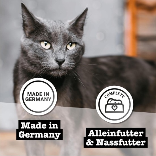 catz finefood Purrrr Wildchwein Monoprotein Wet Cat Food N° 109, for Nutrition-Sensitive Cats, 70% Meat Content, 16 x 85 g Bags catz finefood Purrrr Wildchwein Monoprotein Wet Cat Food N° 109, for Nutrition-Sensitive Cats, 70% Meat Content, 16 x 85 g Bags