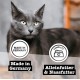 catz finefood Purrrr Wildchwein Monoprotein Wet Cat Food N° 109, for Nutrition-Sensitive Cats, 70% Meat Content, 16 x 85 g Bags catz finefood Purrrr Wildchwein Monoprotein Wet Cat Food N° 109, for Nutrition-Sensitive Cats, 70% Meat Content, 16 x 85 g Bags