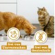 catz finefood Senior Collection Wet Cat Food - Premium Wet Food for Your Senior Cat - Grain-Free, No Sugar, High Meat Content, Vitamins & Minerals (6 x 200 g Tin) catz finefood Senior Collection Wet Cat Food - Premium Wet Food for Your Senior Cat - Grain-Free, No Sugar, High Meat Content, Vitamins & Minerals (6 x 200 g Tin)