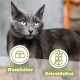 catz finefood Senior N°03 Chicken Cat Food Wet - Premium Wet Food for Your Senior Cat - Grain-Free, No Sugar, High Meat Content, Vitamins and Minerals (6 x 200 g Tub) catz finefood Senior N°03 Chicken Cat Food Wet - Premium Wet Food for Your Senior Cat - Grain-Free, No Sugar, High Meat Content, Vitamins and Minerals (6 x 200 g Tub)