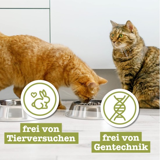 catz finefood Senior N°03 Chicken Cat Food Wet - Premium Wet Food for Your Senior Cat - Grain-Free, No Sugar, High Meat Content, Vitamins and Minerals (6 x 200 g Tub) catz finefood Senior N°03 Chicken Cat Food Wet - Premium Wet Food for Your Senior Cat - Grain-Free, No Sugar, High Meat Content, Vitamins and Minerals (6 x 200 g Tub)