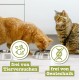 catz finefood Senior N°03 Chicken Cat Food Wet - Premium Wet Food for Your Senior Cat - Grain-Free, No Sugar, High Meat Content, Vitamins and Minerals (6 x 200 g Tub) catz finefood Senior N°03 Chicken Cat Food Wet - Premium Wet Food for Your Senior Cat - Grain-Free, No Sugar, High Meat Content, Vitamins and Minerals (6 x 200 g Tub)