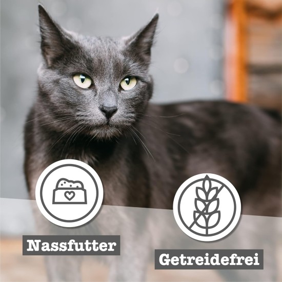 catz finefood Senior N°03 Chicken Cat Food Wet - Premium Wet Food for Your Senior Cat - Grain-Free, No Sugar, High Meat Content, Vitamins and Minerals (6 x 200 g Tub) catz finefood Senior N°03 Chicken Cat Food Wet - Premium Wet Food for Your Senior Cat - Grain-Free, No Sugar, High Meat Content, Vitamins and Minerals (6 x 200 g Tub)