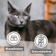 catz finefood Senior N°03 Chicken Cat Food Wet - Premium Wet Food for Your Senior Cat - Grain-Free, No Sugar, High Meat Content, Vitamins and Minerals (6 x 200 g Tub) catz finefood Senior N°03 Chicken Cat Food Wet - Premium Wet Food for Your Senior Cat - Grain-Free, No Sugar, High Meat Content, Vitamins and Minerals (6 x 200 g Tub)