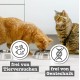 catz finefood Senior N°03 Chicken Cat Food Wet - Premium Wet Food for Your Senior Cat - Grain-Free, No Sugar, High Meat Content, Vitamins and Minerals (6 x 200 g Tub) catz finefood Senior N°03 Chicken Cat Food Wet - Premium Wet Food for Your Senior Cat - Grain-Free, No Sugar, High Meat Content, Vitamins and Minerals (6 x 200 g Tub)