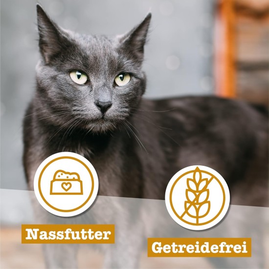 catz finefood Senior N°03 Chicken Cat Food Wet - Premium Wet Food for Your Senior Cat - Grain-Free, No Sugar, High Meat Content, Vitamins and Minerals (6 x 200 g Tub) catz finefood Senior N°03 Chicken Cat Food Wet - Premium Wet Food for Your Senior Cat - Grain-Free, No Sugar, High Meat Content, Vitamins and Minerals (6 x 200 g Tub)