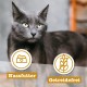 catz finefood Senior N°03 Chicken Cat Food Wet - Premium Wet Food for Your Senior Cat - Grain-Free, No Sugar, High Meat Content, Vitamins and Minerals (6 x 200 g Tub) catz finefood Senior N°03 Chicken Cat Food Wet - Premium Wet Food for Your Senior Cat - Grain-Free, No Sugar, High Meat Content, Vitamins and Minerals (6 x 200 g Tub)