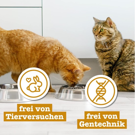 catz finefood Senior N°03 Chicken Cat Food Wet - Premium Wet Food for Your Senior Cat - Grain-Free, No Sugar, High Meat Content, Vitamins and Minerals (6 x 200 g Tub) catz finefood Senior N°03 Chicken Cat Food Wet - Premium Wet Food for Your Senior Cat - Grain-Free, No Sugar, High Meat Content, Vitamins and Minerals (6 x 200 g Tub)