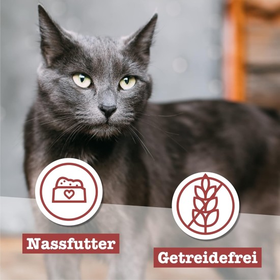 catz finefood Senior N°03 Chicken Cat Food Wet - Premium Wet Food for Your Senior Cat - Grain-Free, No Sugar, High Meat Content, Vitamins and Minerals (6 x 200 g Tub) catz finefood Senior N°03 Chicken Cat Food Wet - Premium Wet Food for Your Senior Cat - Grain-Free, No Sugar, High Meat Content, Vitamins and Minerals (6 x 200 g Tub)