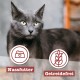 catz finefood Senior N°03 Chicken Cat Food Wet - Premium Wet Food for Your Senior Cat - Grain-Free, No Sugar, High Meat Content, Vitamins and Minerals (6 x 200 g Tub) catz finefood Senior N°03 Chicken Cat Food Wet - Premium Wet Food for Your Senior Cat - Grain-Free, No Sugar, High Meat Content, Vitamins and Minerals (6 x 200 g Tub)